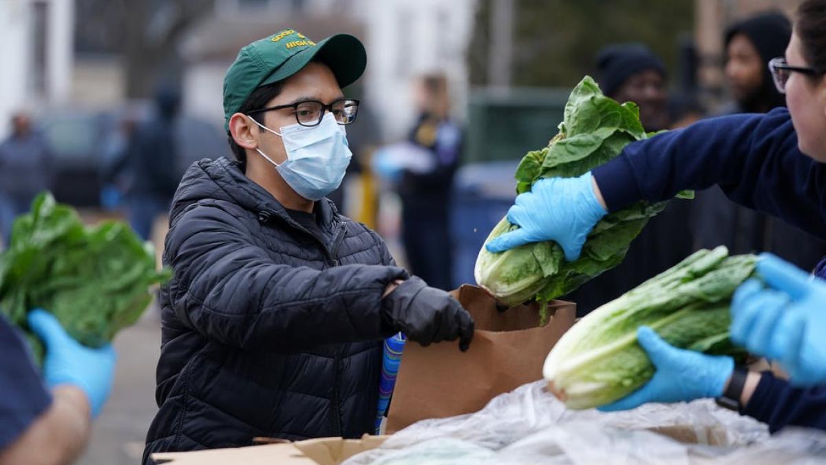 People working during COVID. 